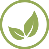 icon eco